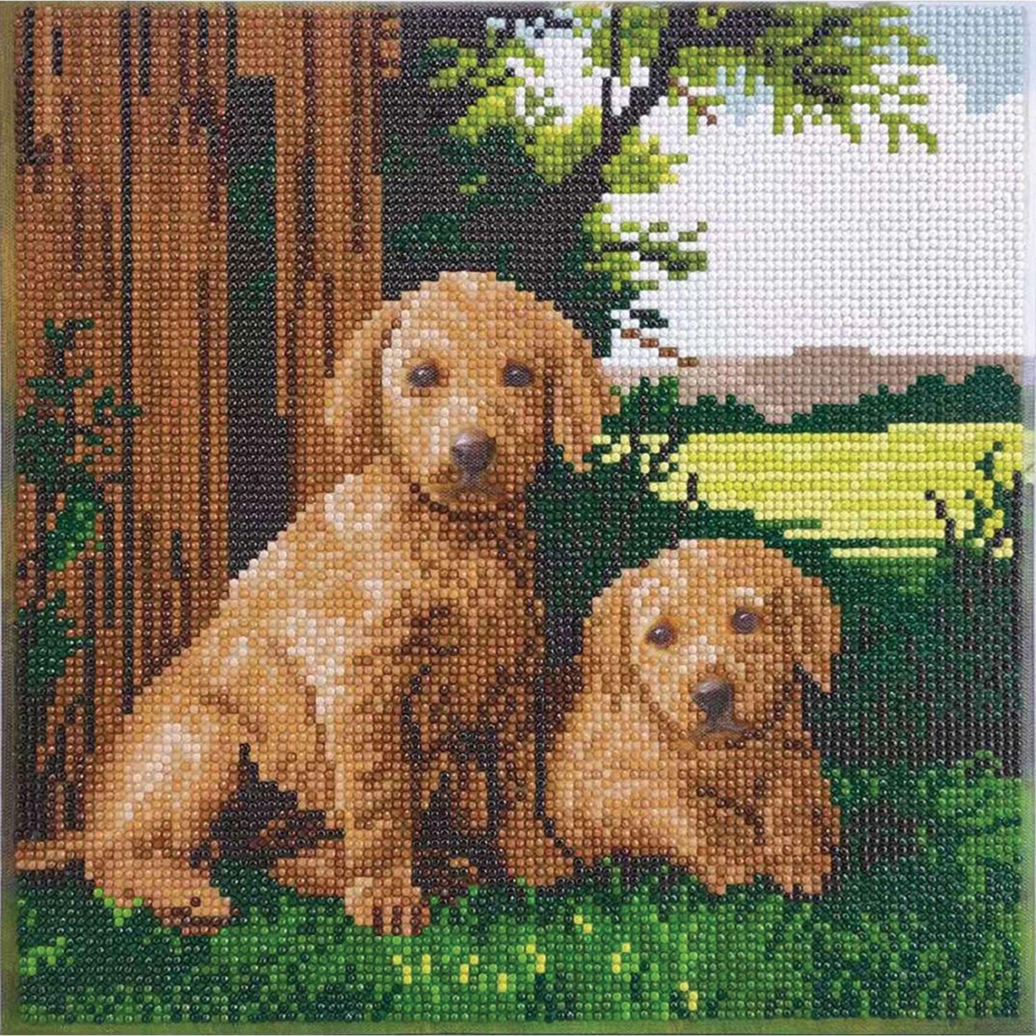 Crystal Art - CA Kit (Medium) - Next to the Fence