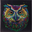 Crystal Art - CA Kit (Medium) - Nocturnal Wonder