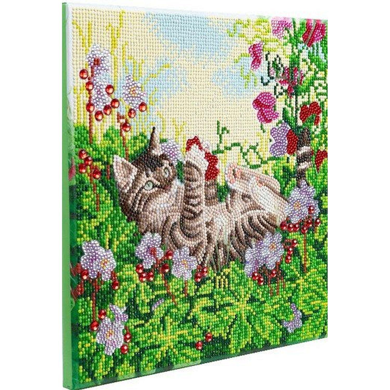 Crystal Art - CA Kit (Medium) - Playful Cat