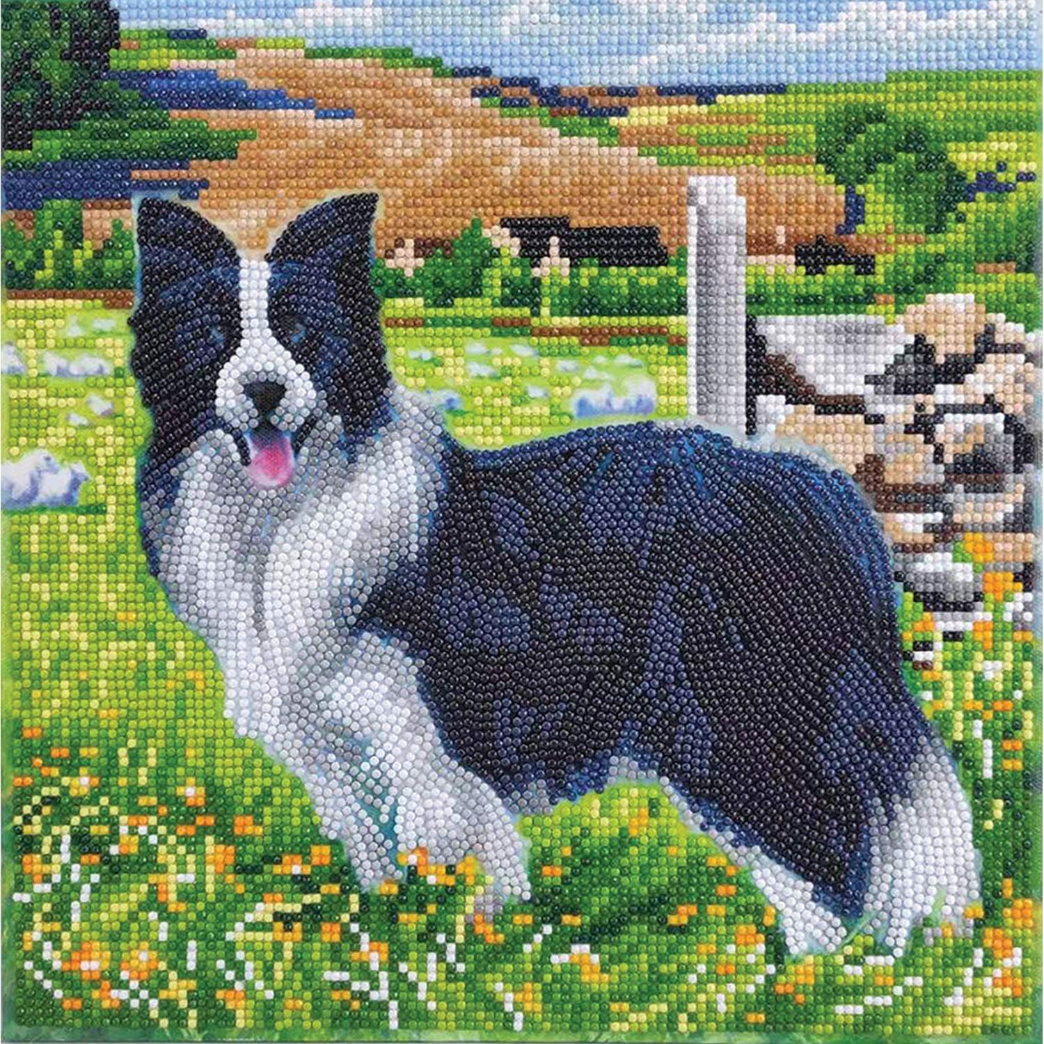 Crystal Art - CA Kit (Medium) - Pupin the Field