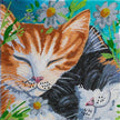 Crystal Art - CA Kit (Medium) - Sleepy Cats