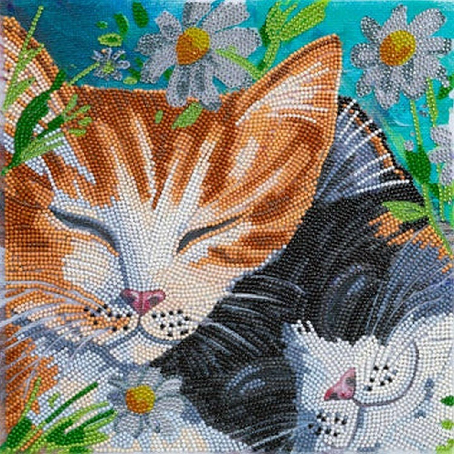 Crystal Art - CA Kit (Medium) - Sleepy Cats