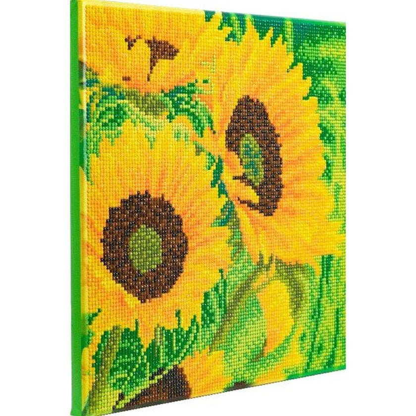 Crystal Art - CA Kit (Medium) - Sunflower Joy