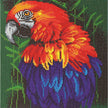 Crystal Art - CA Kit (Medium) - Tropical Bird