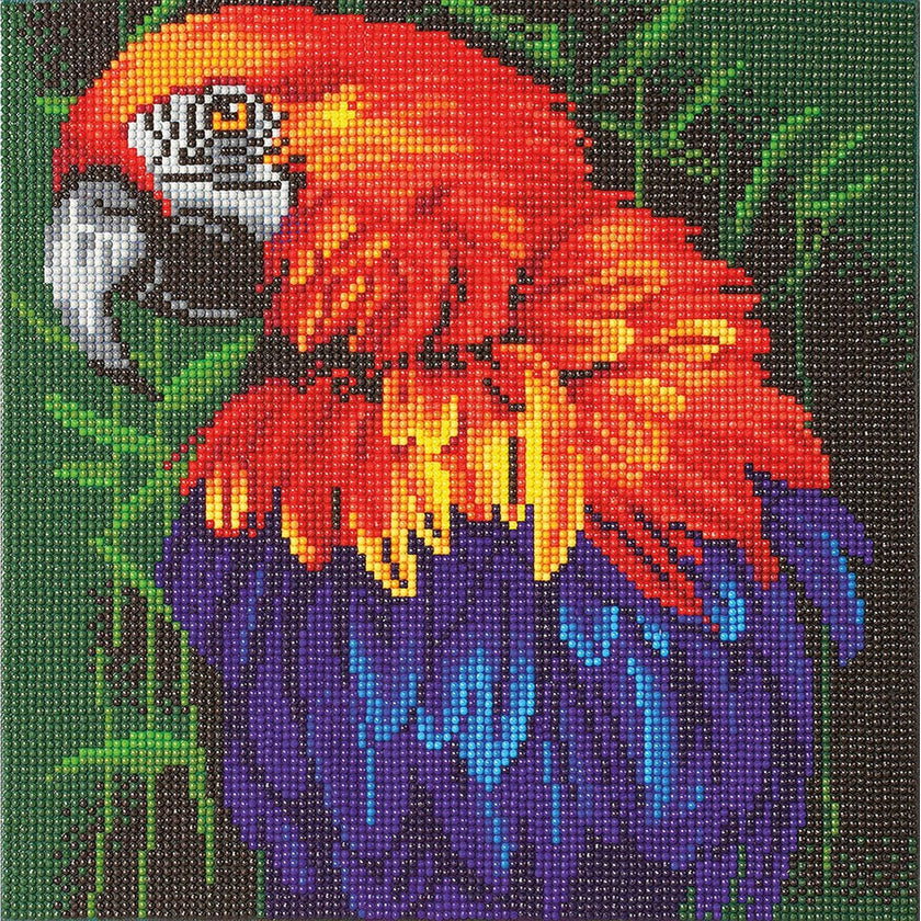 Crystal Art - CA Kit (Medium) - Tropical Bird