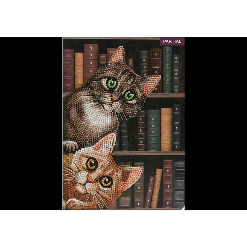 Crystal Art - CA Notebook - Chats dans la bibliothèque