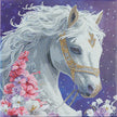 Crystal Art - Mounted Kit (Med): Mystic Beauty