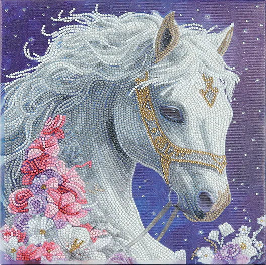 Crystal Art - Mounted Kit (Med): Mystic Beauty