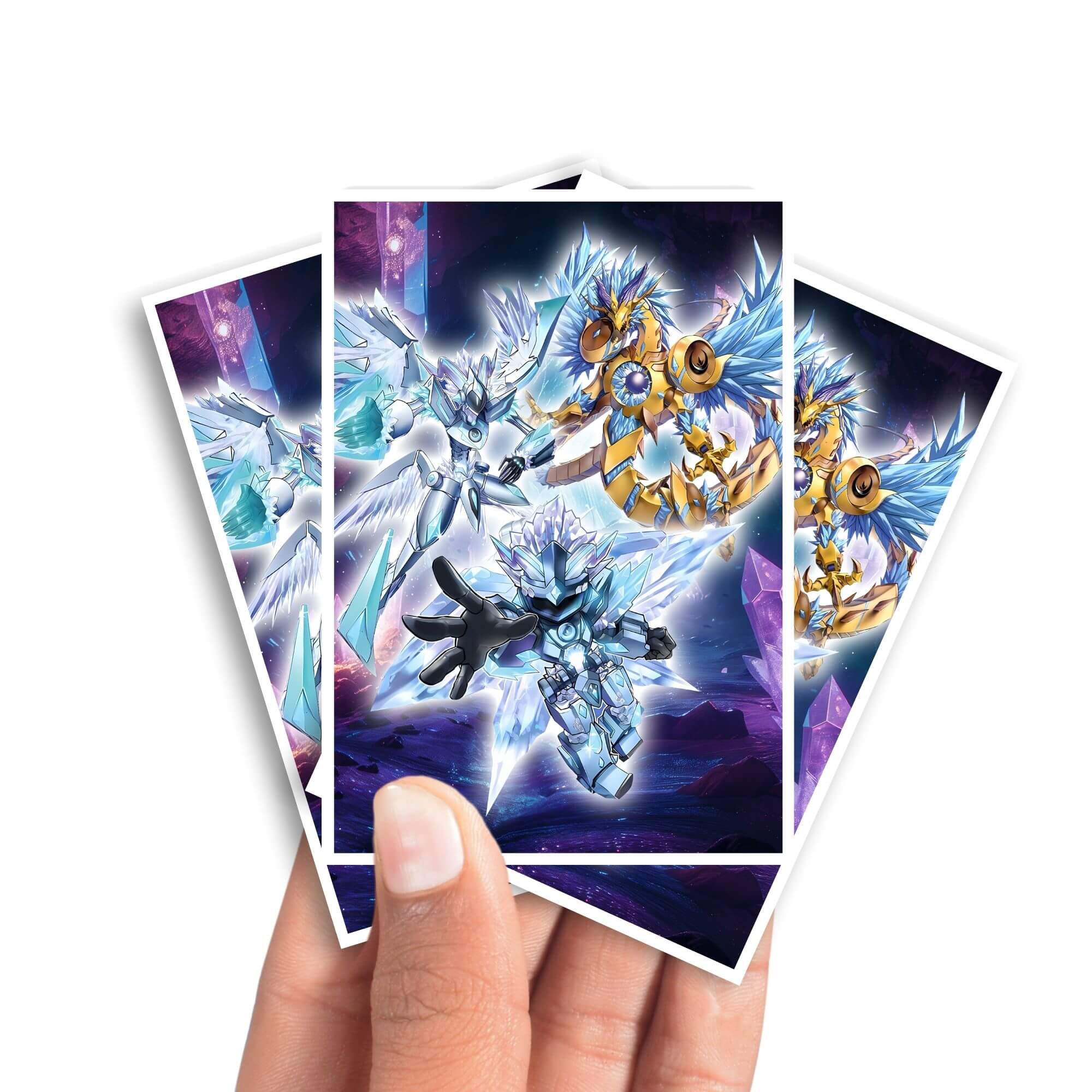 Protège-cartes Crystron