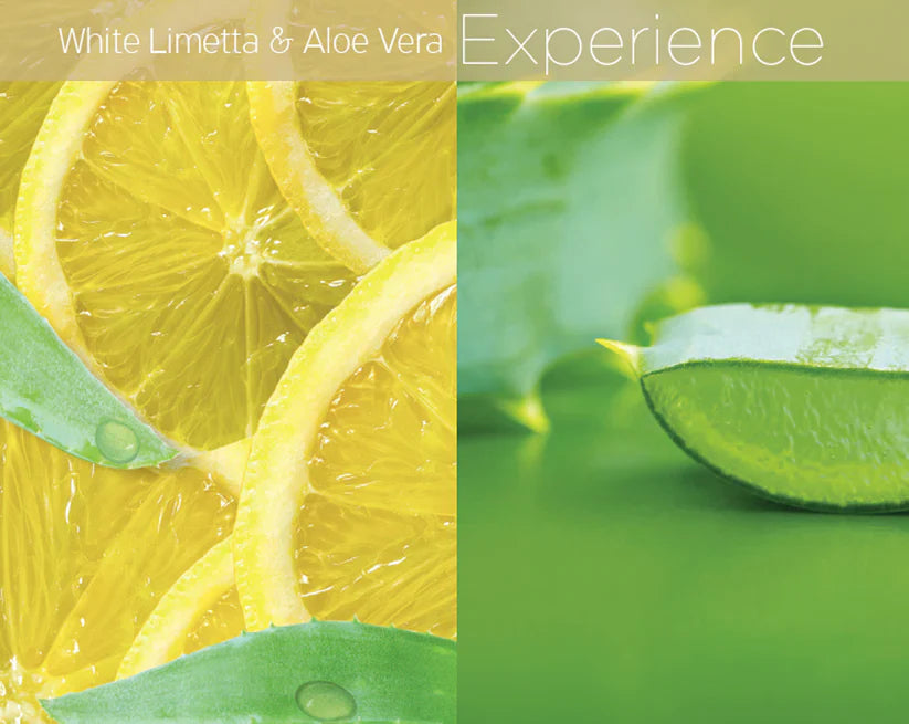 Beurre corporel ultra-léger Cuccio - Lytes, citron vert blanc et aloe vera (8 oz)