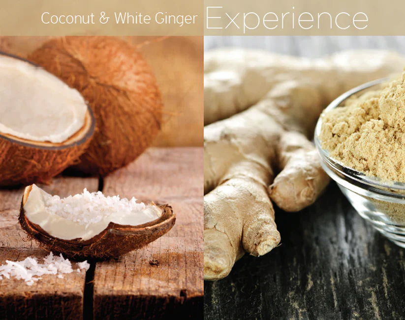 Cuccio - Présentoir Coconut & Gingembre/Coconut & White Ginger Butter (6 X 8Oz)