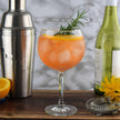 Cuisivin - Copa Gin