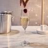 Cuisivin - Sante Flute Champagne 725oz / 210ml - 6Pk