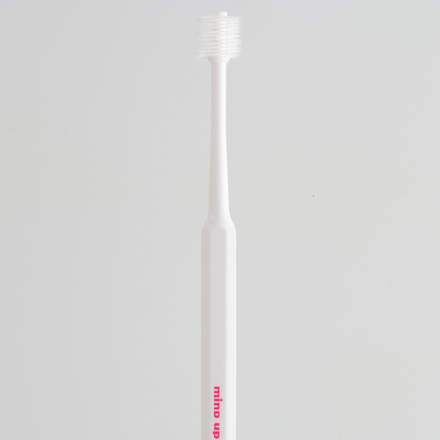 mind up - Dog's Cylinder Head Toothbrush (Regular size, Made in Japan)
