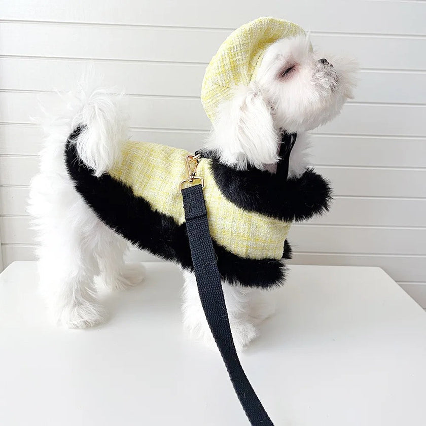 Plaid Tweed Harness Set | Dog Harness Leash and Hat Set