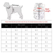 Halloween Dog Vest | Dog Vest