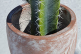 Torres Planter 11''