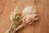 Bunny Tails