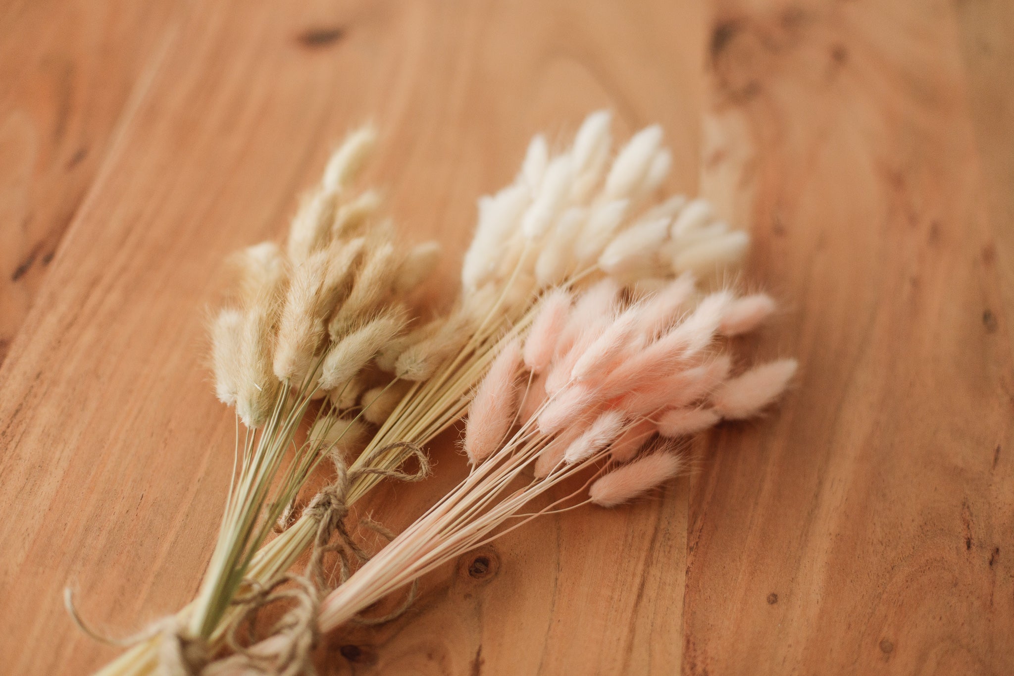 Bunny Tails