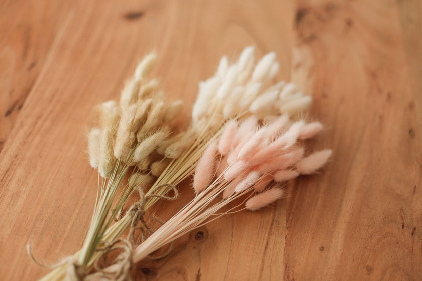 Bunny Tails
