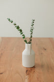 Preserved Stems - Medium