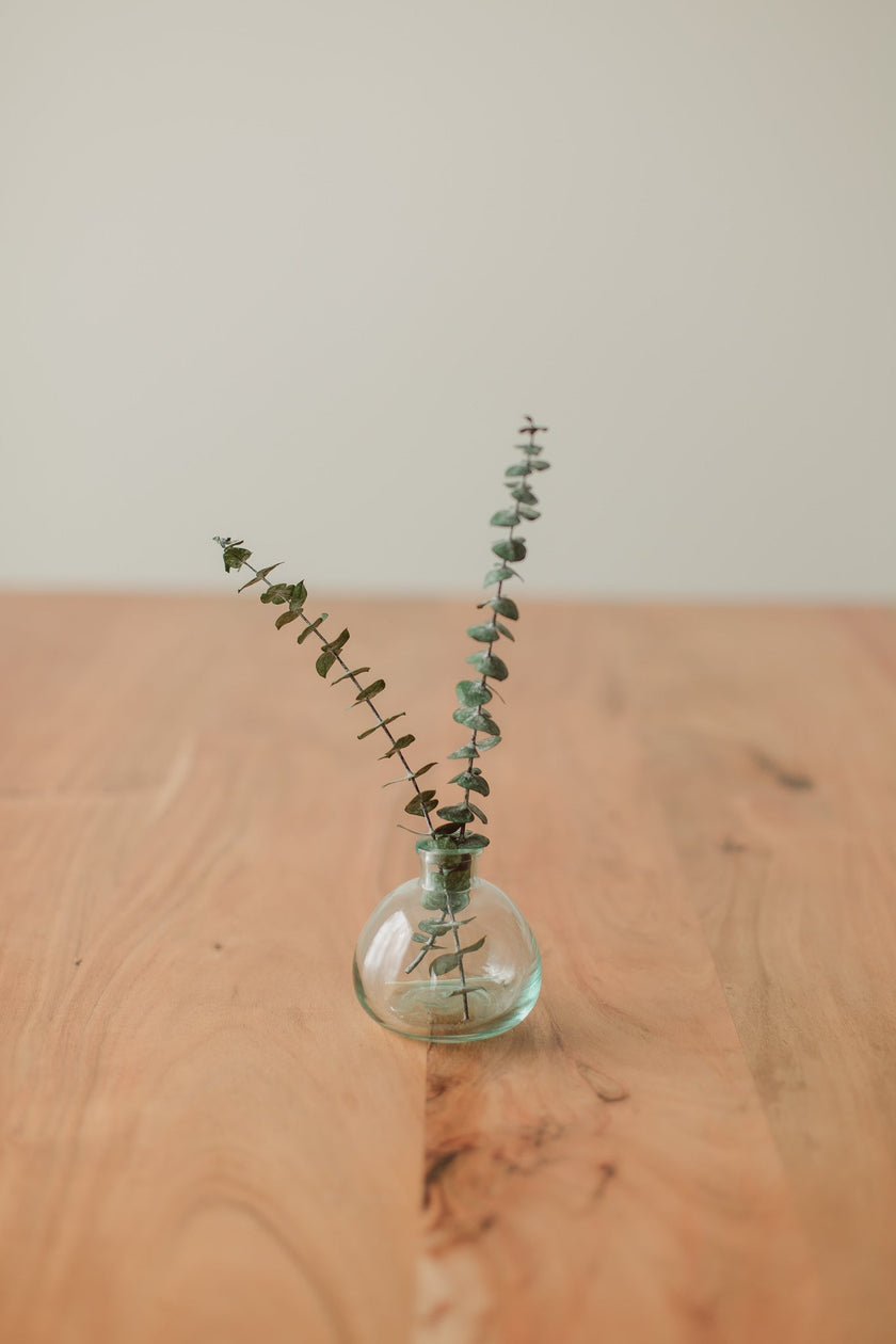 Preserved Small Stems