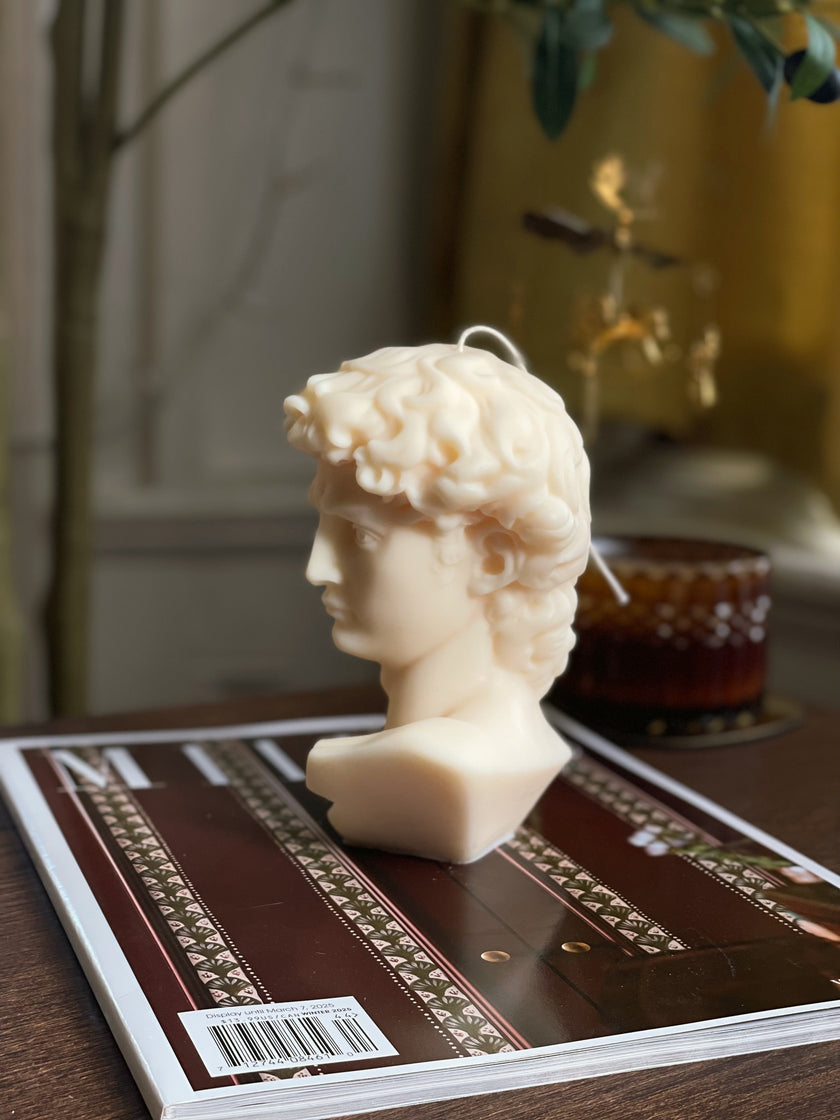 David Bust