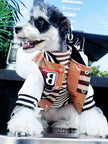 Brrbrry Swag Dog Jacket | Lightweight Dog Jacket