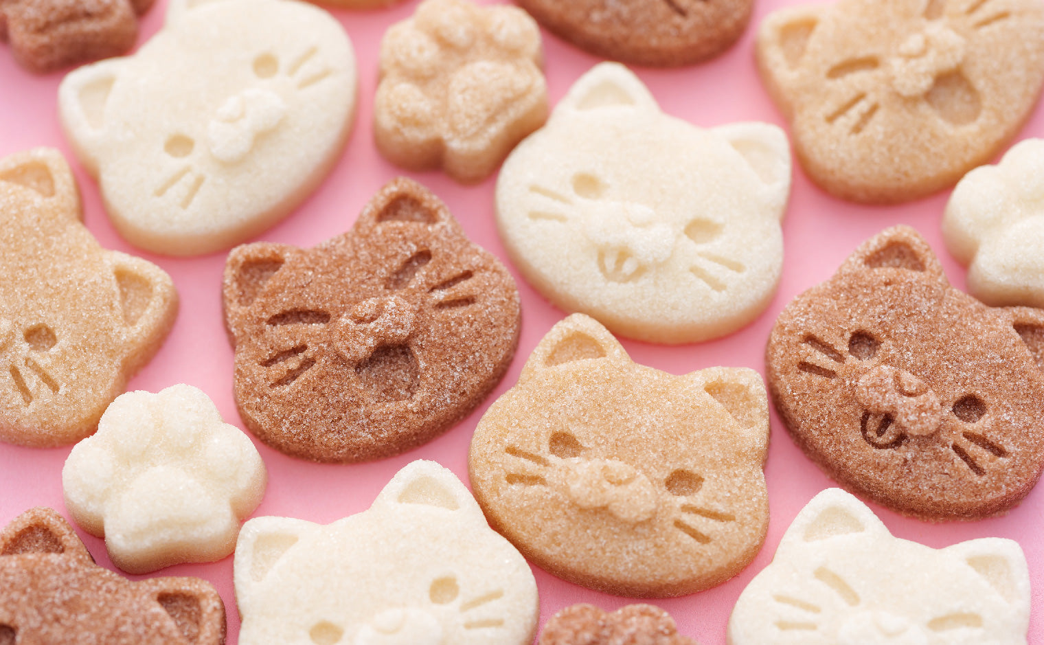 Cat Cafe
