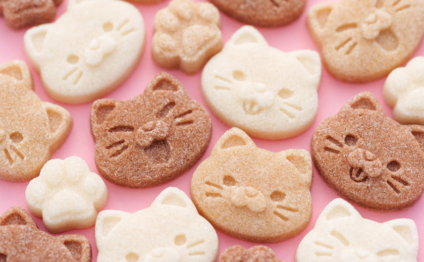 Cat Cafe