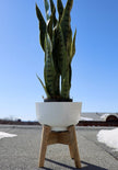 Sita - Mid-Century Turned Wood Leg Planter White (Multiple Sizes)