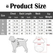 Dog Knit Sweater | Gigi Luxe Knit Sweater