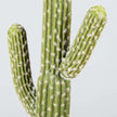 Dado Artificial Cactus Potted Plant 2'