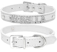 Heirloom Name Dog Collar | Customized Dog Collar