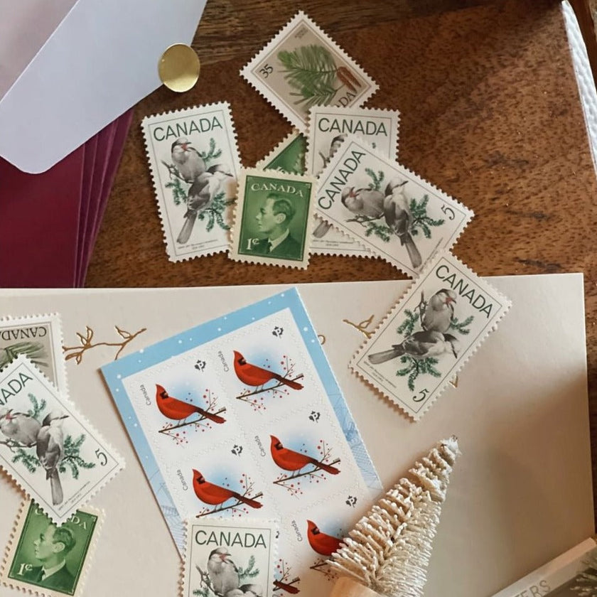Lucky Press Letter Writers Box