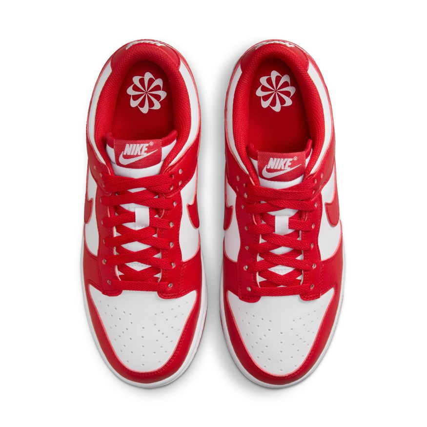 W Nike Dunk Low Next Nature DD1873-116