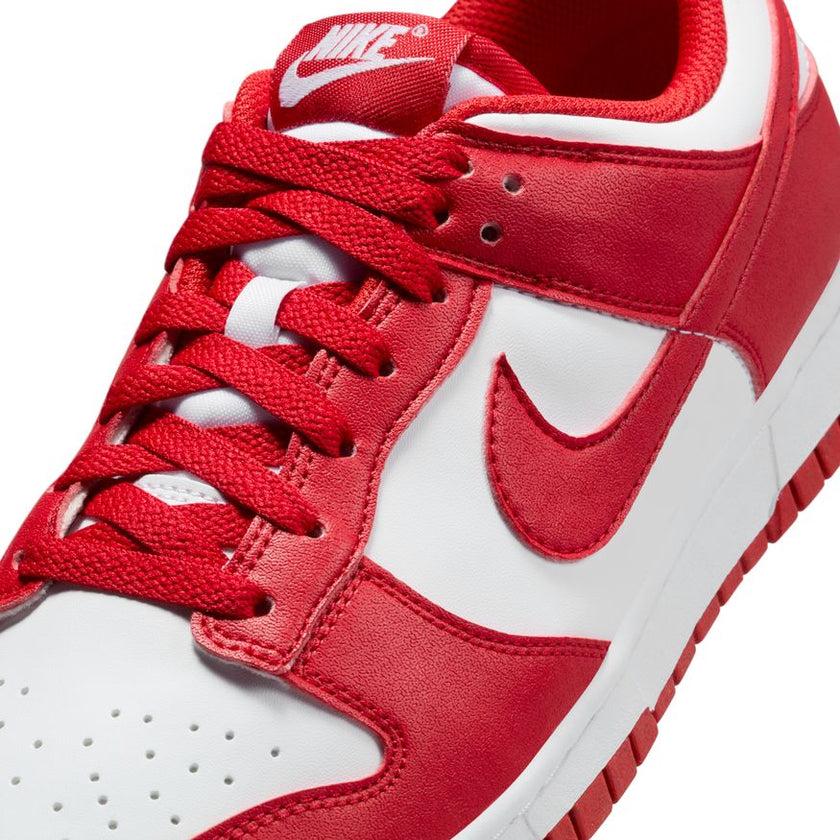 W Nike Dunk Low Next Nature DD1873-116