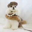She’s From London Tweed Harness Set | Dog Harness Leash Hat Set