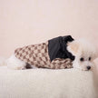 Gigi Jacket – Dog Jacket