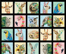 Brush With Nature by Louise Nisbet - Black multi Panel