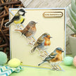 Delightful Die-Cuts - Beautiful Birds