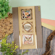Delightful Die-Cuts - Fantastic Frames