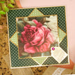 Duo Design Paper Pads - Radiant Roses & Delightful Dots