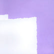Deckle-Edge Card Blanks & Envelopes Megabuy