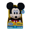 AQUA PALS - AQUA PALS - DISNEY - MICKEY MOUSE 17