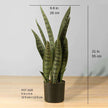 Dezi Artificial Snake Sansevieria Dark Green Potted Plant 21''