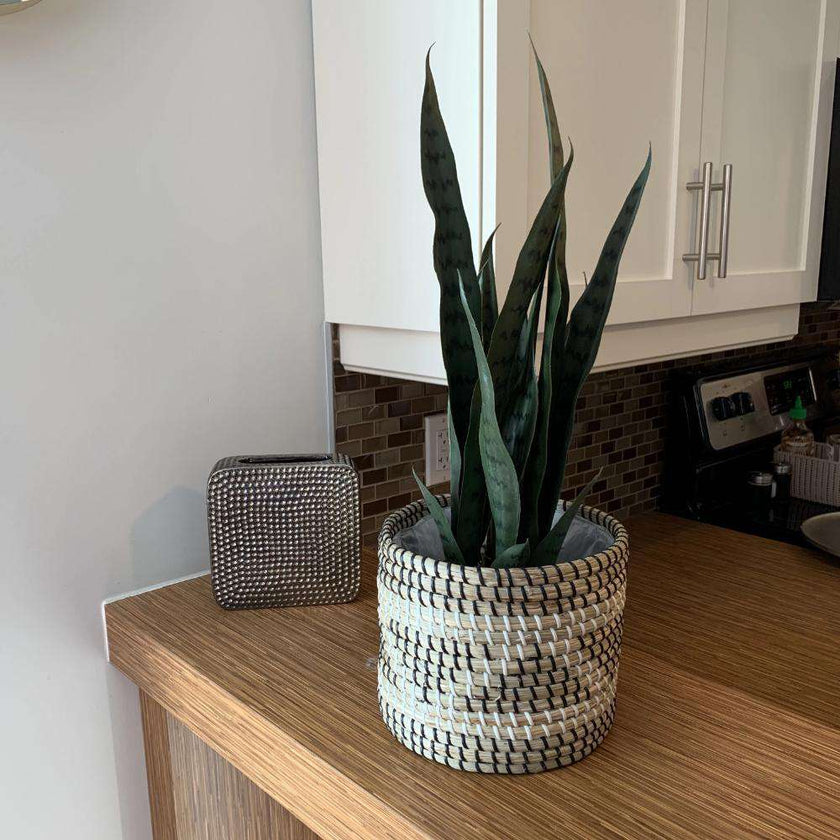 Dezi Artificial Snake Sansevieria Dark Green Potted Plant 21''