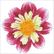 DIAMOND DOTZ - Daisy-A-Day