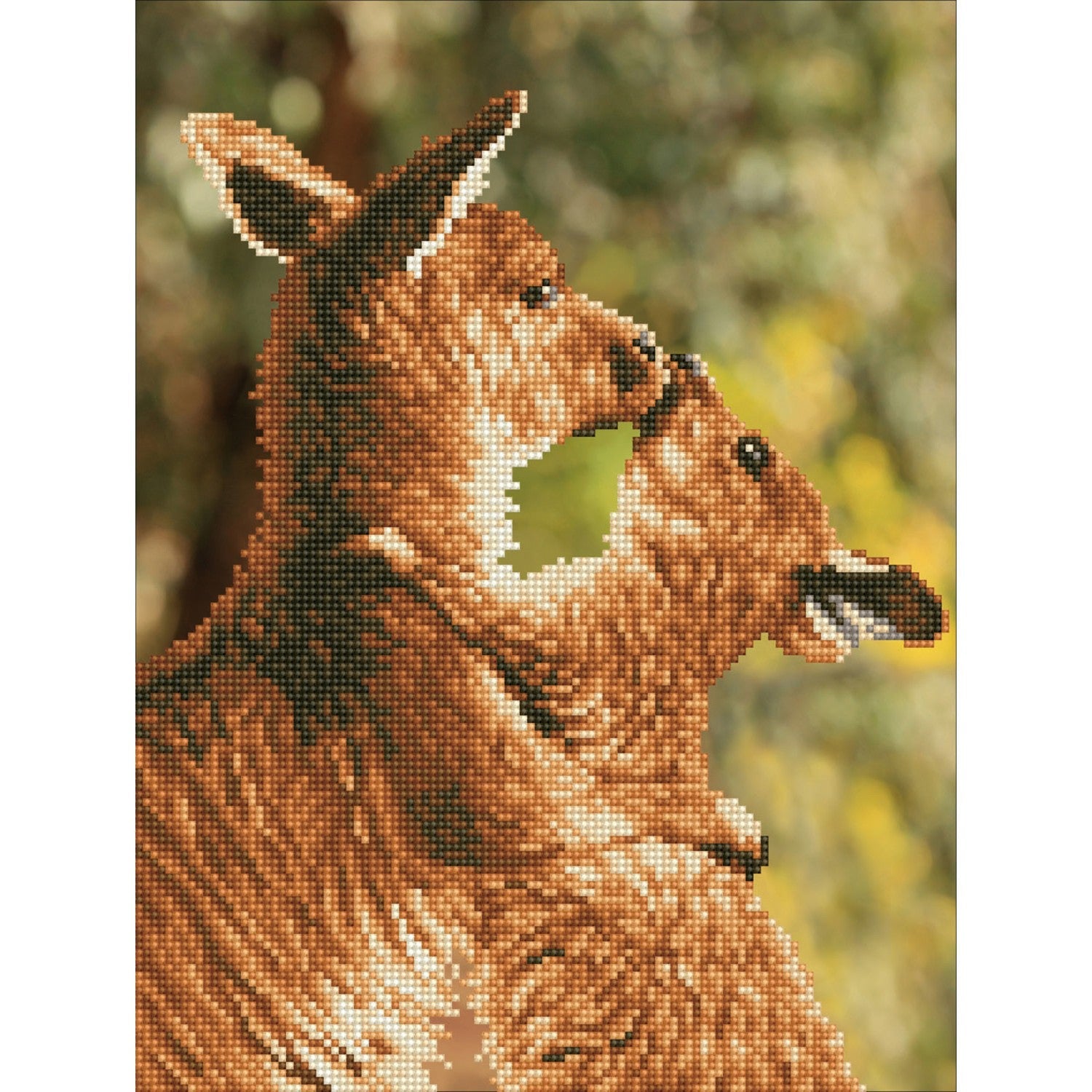 DIAMOND DOTZ - Kissing Kangas
