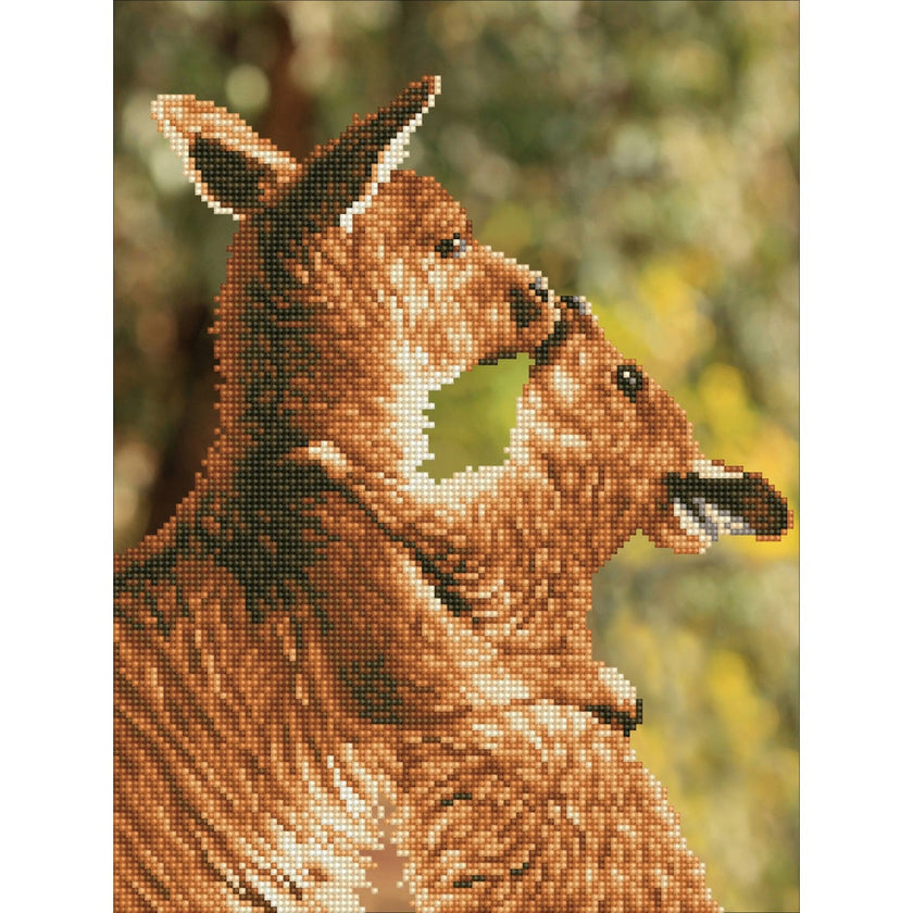 DIAMOND DOTZ - Kissing Kangas